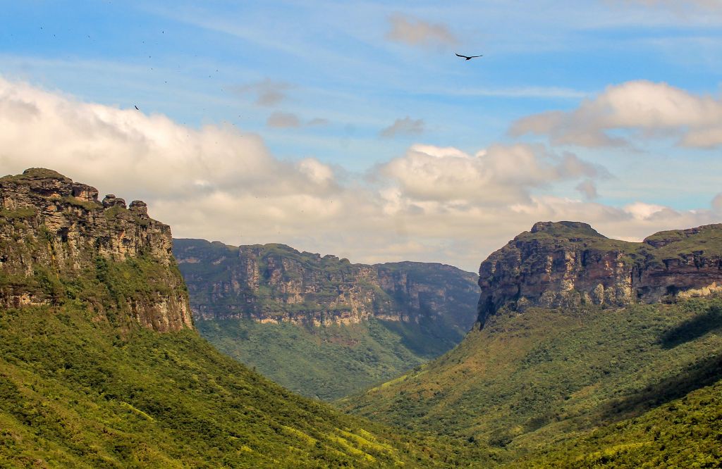 Brazil in September