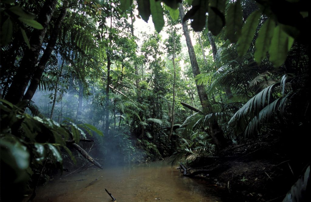 best time to go to amazon rainforest