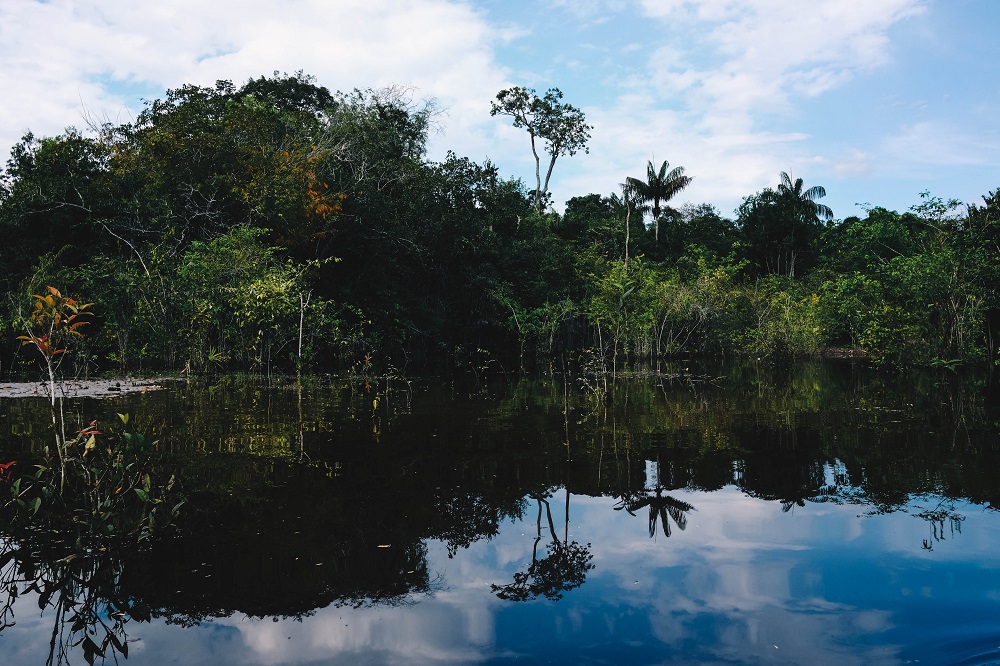 Selva amazónica en Brasil | ATM24h