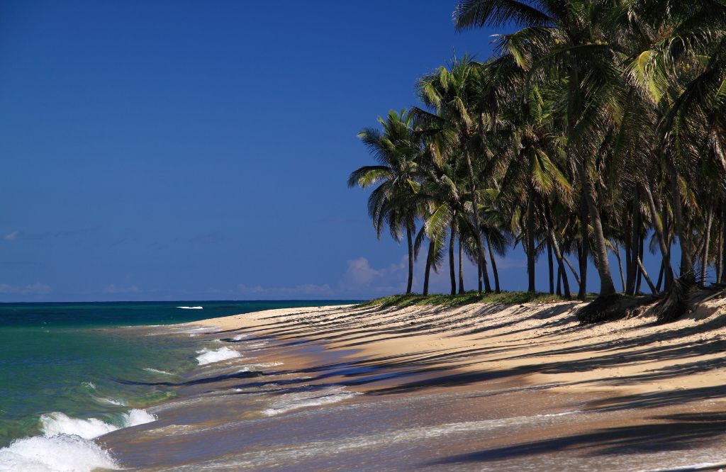 brasil en noviembre